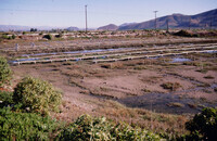 Pt. Mugu Wetlands thumbnail