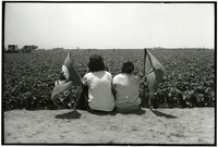 [Workers with UFW flags sitting in a field] thumbnail