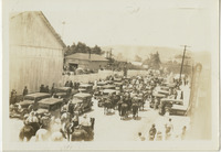 La Fiesta Parade, San Luis Obispo thumbnail