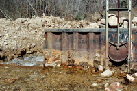 Maistas farm, Ditch and cattle 016 thumbnail