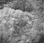 1950 ABI-20G-61 [Fresno County, California aerial survey, 1950] thumbnail