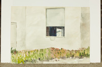 White Wall, Window, And Succulants thumbnail