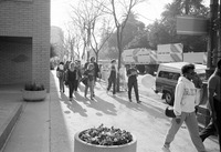 People participating in the 1986 y-Walk thumbnail