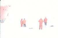 Getting ready to catch some Adelie penguins thumbnail