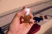 Pt. Mugu Wetlands thumbnail