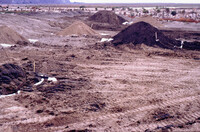 Pt. Mugu Wetlands thumbnail