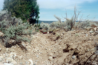 Maistas farm, Ditch and cattle 034 thumbnail