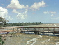 West Lake Boardwalk thumbnail