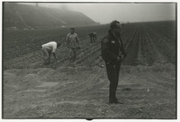 Police officer and lettuce farmers thumbnail