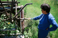 Kaber farm, Old and new farm equipment 005 thumbnail