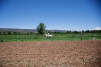 Montoya farm 019 thumbnail