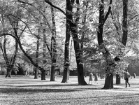 San Jose State College campus. thumbnail