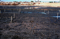 Pt. Mugu Wetlands thumbnail