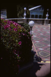 San Simeon, grounds, Neptune Terrace thumbnail