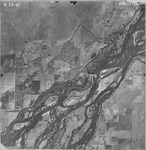 1942 ABI-11B-94 [Fresno County, California, aerial survey, 1942] thumbnail