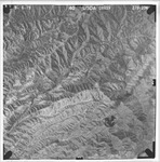 1979 06019 279-234 [Fresno County, California aerial survey, 1979] thumbnail