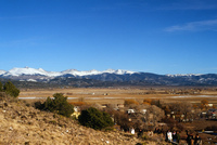 Logging protests 081 thumbnail