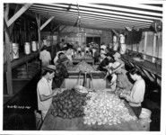 Food preparation. thumbnail
