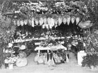 Beach Road Center display thumbnail