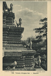 file details