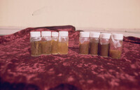 Pt. Mugu Wetlands thumbnail