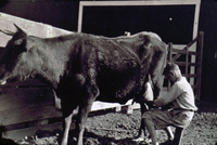 The Faulkner Ranch (Santa Paula, CA) thumbnail