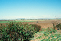 Gallegos farm, Orchards and landscapes 014 thumbnail