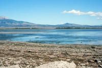 High Desert Research Farm 010 thumbnail