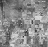 1950 ABI-21G-47 [Fresno County, California aerial survey, 1950] thumbnail