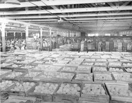 Crates of fruit at Bisceglia Bros. Cannery. thumbnail