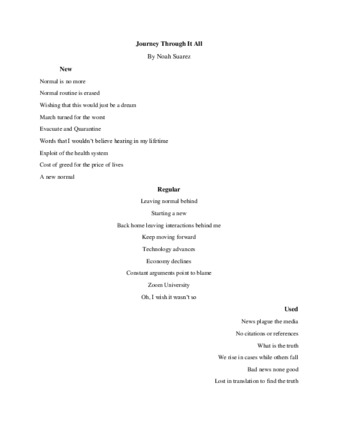 Noah Suarez Pandemic Poetry thumbnail