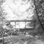 Bridge over a creek in the woods thumbnail