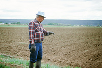 Kaber farm, Plowed fields and crops 013 thumbnail
