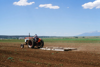 Kaber farm, Plowing 070 thumbnail