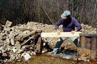 Maistas farm, Ditch and cattle 017 thumbnail