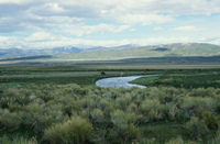 San Luis Valley landscapes 047 thumbnail