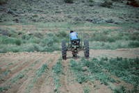 Tractor plowing and irrigation ditch 022 thumbnail