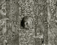 Medallion thumbnail