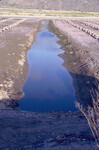 Pt. Mugu Wetlands thumbnail