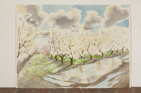 Blossom Orchard And Puddle thumbnail