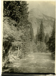 North Dome with Merced River foreground thumbnail
