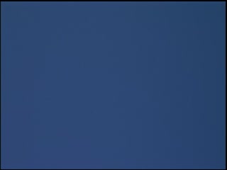 San Diego Frog Town thumbnail