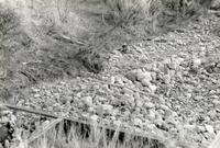 Irrigation ditch 011 thumbnail