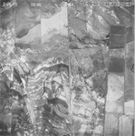 1950 ABI-25G-4 [Fresno County, California aerial survey, 1950] thumbnail