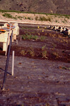Pt. Mugu Wetlands thumbnail
