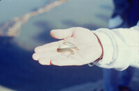 Pt. Mugu Wetlands thumbnail