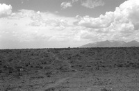 Gallegos farm 008 thumbnail