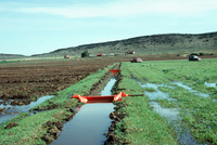 Gallegos farm, Irrigation 019 thumbnail