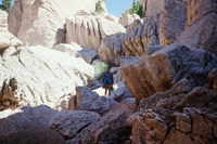 River, plants and mountains 025 thumbnail