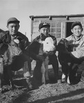 [Three high school agriculture students with their calves at Granada incarceration camp] thumbnail
